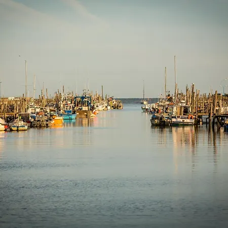 Le Nid Des Herons * Bretignolles-sur-Mer