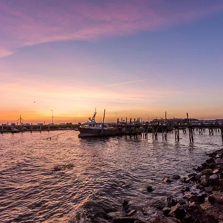 Le Nid Des Herons Hébergement de vacances