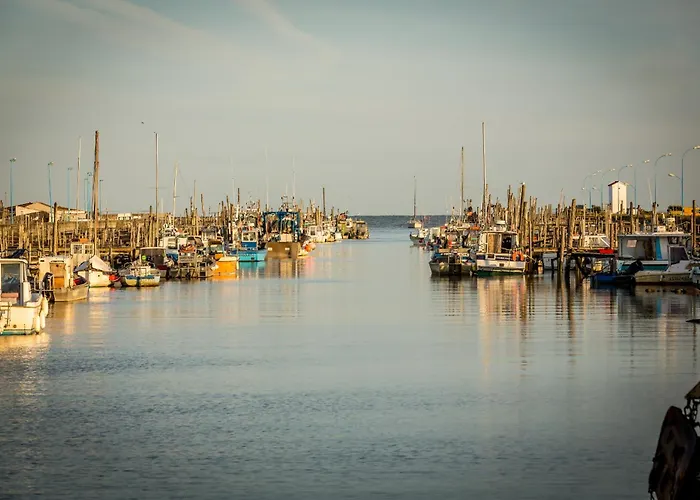 Le Nid Des Herons * Bretignolles-sur-Mer