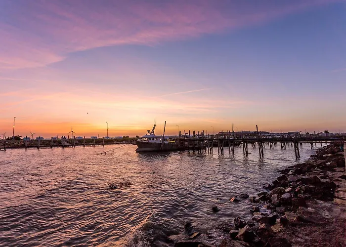 Le Nid Des Herons Hébergement de vacances